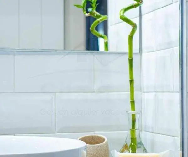 Cerezas Gozón By Silastur * Luanco